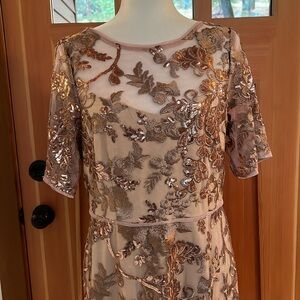 Adrianna Papell Sequin Embroidery Dress Size 12